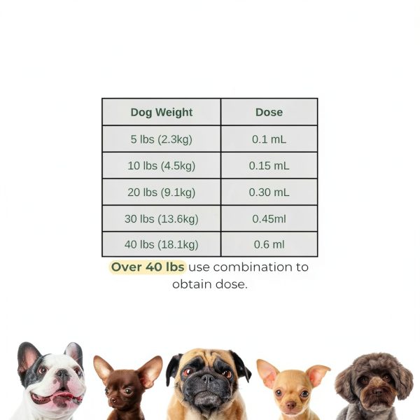 Coclara Dog Dewormer Safe Puppy Worm Treatment-1
