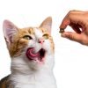Friskies Cat Treats Crunchy Tuna Flavor Natural Ingredients-9