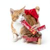Hartz Delectables Lickable Cat Treats Hydration Support-4