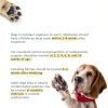Coclara Dog Dewormer Safe Puppy Worm Treatment-4