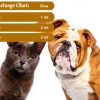 WormShield Plus Broad Spectrum Dewormer Liquid for Pets-3