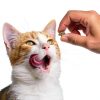 Friskies Cat Treats Wild Tuna Crunchy Natural Ingredients-10