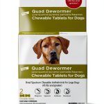 Elanco Quad Dewormer Broad Spectrum Chewable Tablet Dogs-0