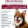 PetArmor 7 Way Dog Dewormer Chewable Tablets Vet Quality-1