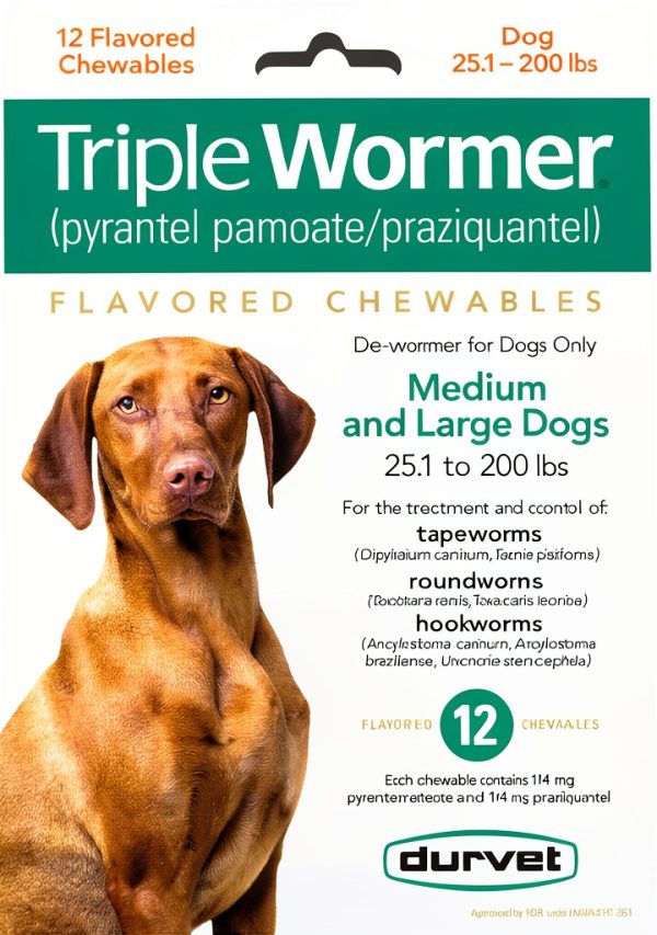 Monster Pets Dog Wormer Chewable Tablets 12 Pack-0