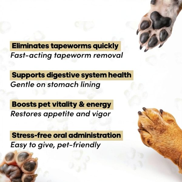 GiarCidia Dog Cat Dewormer Liquid Tapeworm Treatment Immune-4