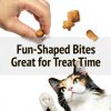 Friskies Cat Treats Purina Crunchy Chicken Gravy-8