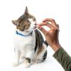 Temptations Jumbo Stuff Tuna Flavor Cat Treats-10