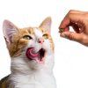 Friskies Cat Treats Purina Crunchy Chicken Gravy-10
