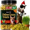 Cat Hairball Treats Just Try Crunchy Salmon-0