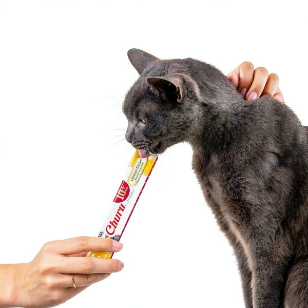 INABA Senior Cat Treats Wholesome Chicken Recipe-7