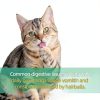 Cat Hairball Treats Just Try Crunchy Salmon-2