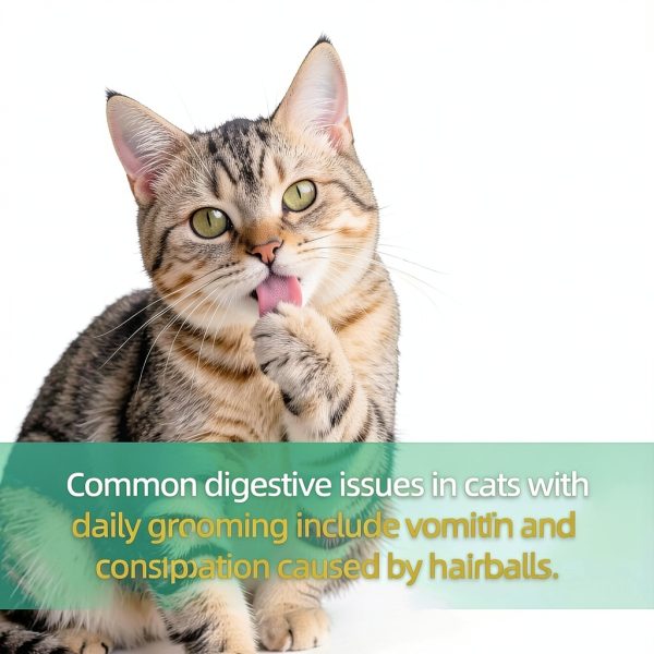 Cat Hairball Treats Just Try Crunchy Salmon-2