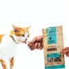 Vital Essentials Freeze Dried Cat Treats Salmon Bites-5