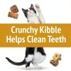 Purina Friskies Party Mix Cat Treats for Cats-4