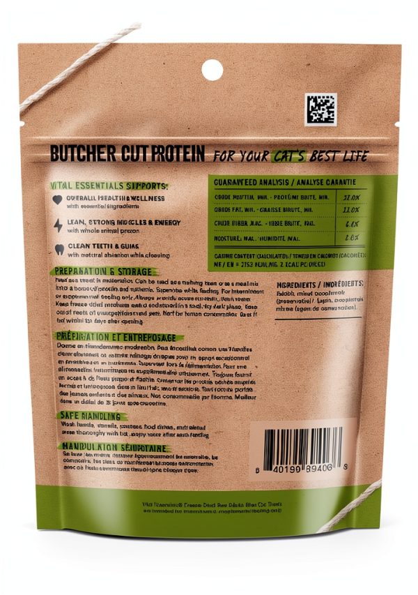 Vital Essentials Freeze Dried Cat Treats Salmon Bites-1