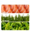 Cat Hairball Treats Just Try Crunchy Salmon-3