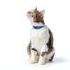 Temptations Jumbo Stuff Tuna Flavor Cat Treats-9
