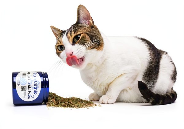 Catnip for Cats by The Cat's MeWow Pure Natural-1