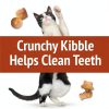 Friskies Cat Treats Purina Crunchy Chicken Flavor-4