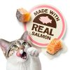 Purina Friskies Salmon Cat Treats 1.25 lb Pack of 2 Real Fish Calorie-3